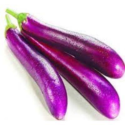 Hạt Giống Cà Pháo - Cà Tím - Cà Chua