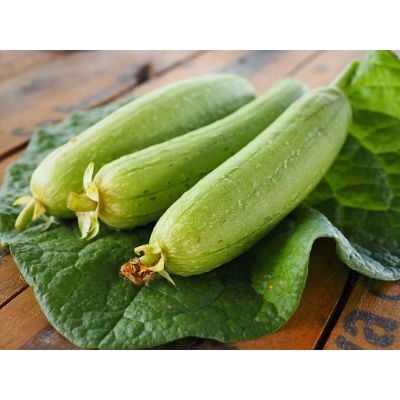 Hạt Giống Mướp