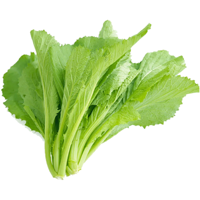 Hạt Giống Rau Cải