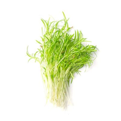 Hạt Giống Rau Mầm
