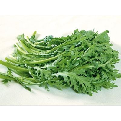 Hạt Giống Tần Ô
