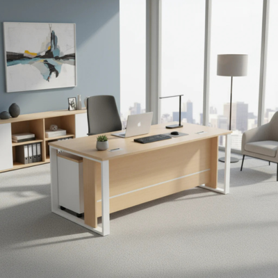 Economic Office Desk
