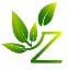 Z Plantes