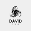 David Store 