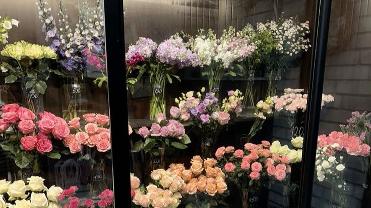 WhatsApp Image 2025-11-26 at 08.51.36_ab2cc3ce.jpg