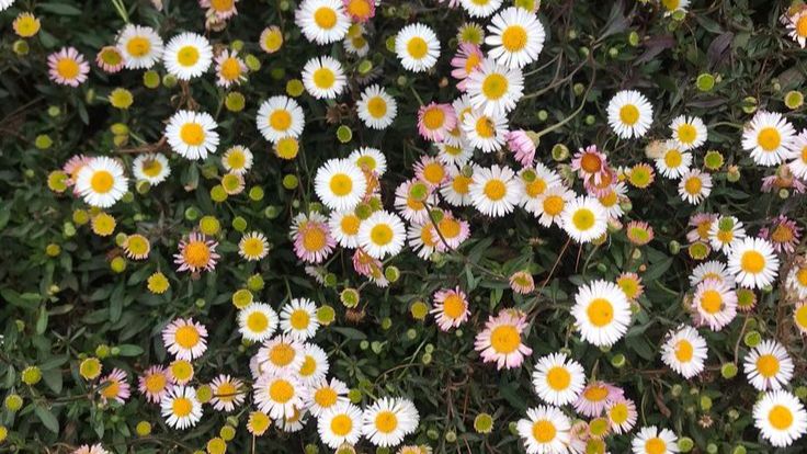 WhatsApp Image 2025-11-26 at 11.09.48_e0794115.jpg